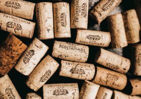 Why Cork Is Eco-Friendly